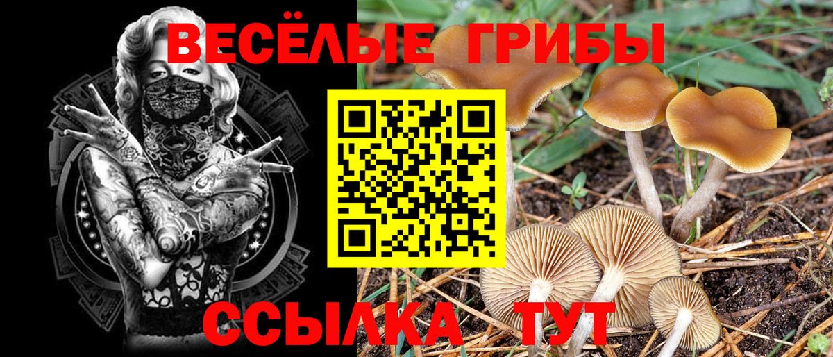 Касимов  даркнет сайт  Вход с VPN  Псилоцибиновые грибы мицелий 