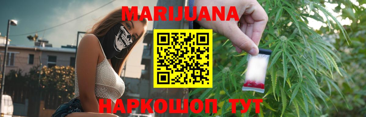 Конопля гибрид Касимов